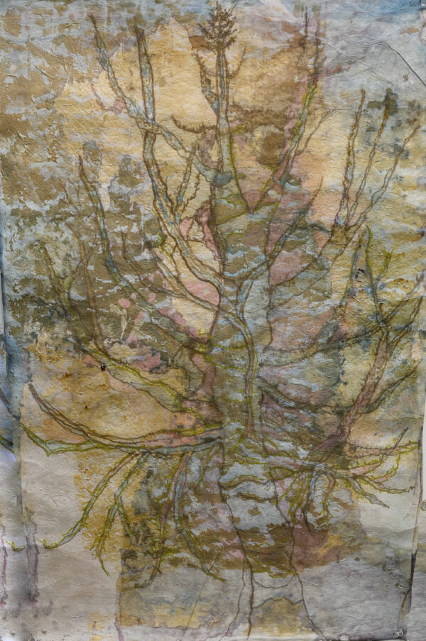 Irish Tree 1, mixed media on Japanese paper, 19wx30h