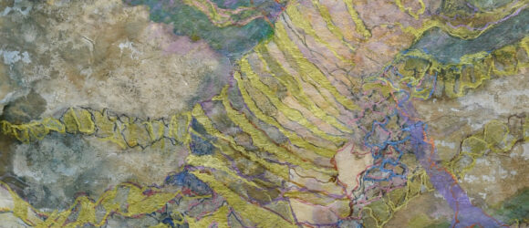 Irish Tree 3, detail, mixed media on Japanese paper, 19w x 30h